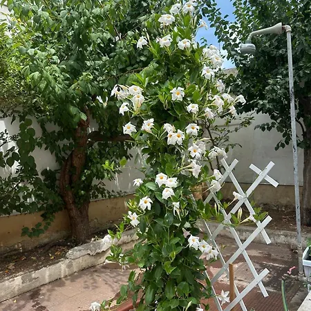 فندق مبيت وإفطار Lory's